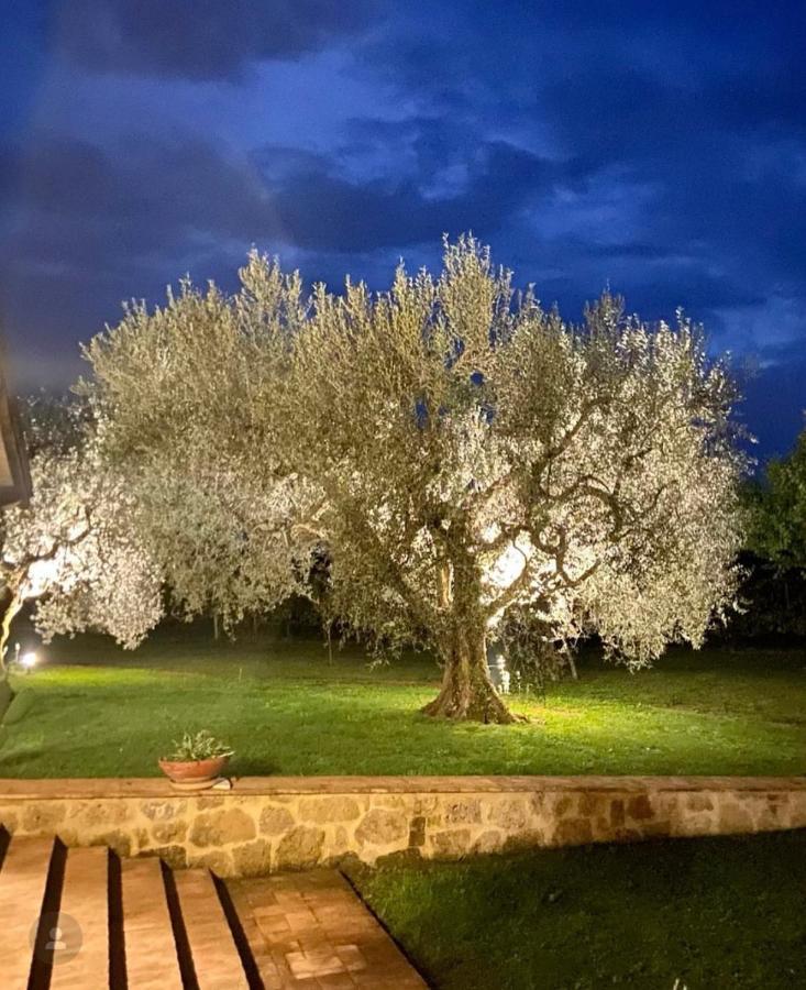 Agriturismo Eco-Bio Villa Vacasio Pitigliano Bagian luar foto