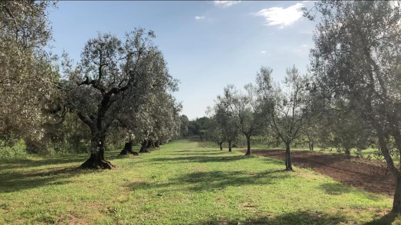 Agriturismo Eco-Bio Villa Vacasio Pitigliano Bagian luar foto